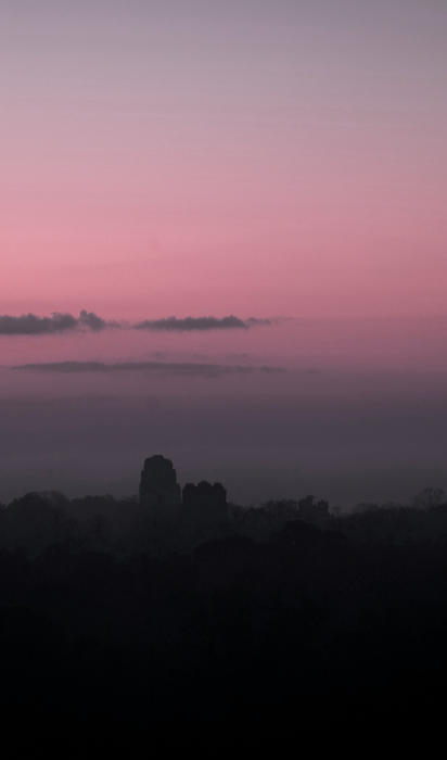 A pink Sunrise over the Temples at Tikal, Guatemala